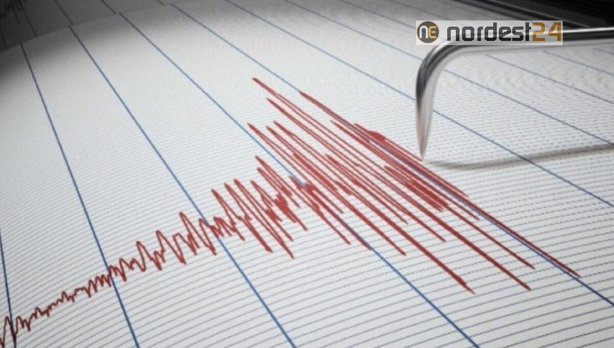 Scossa di terremoto in Friuli Venezia Giulia: magnitudo 3.7 - 