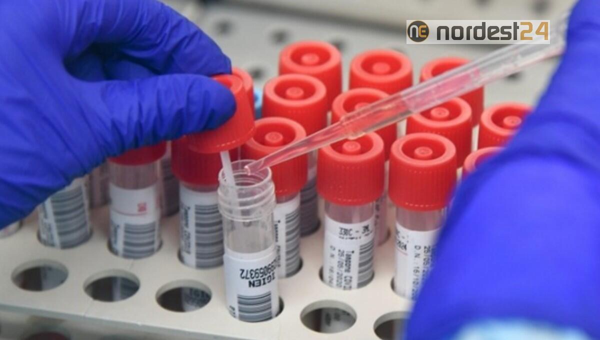 Bambina positiva al Coronavirus, sospeso per alcuni giorni il centro estivo - 