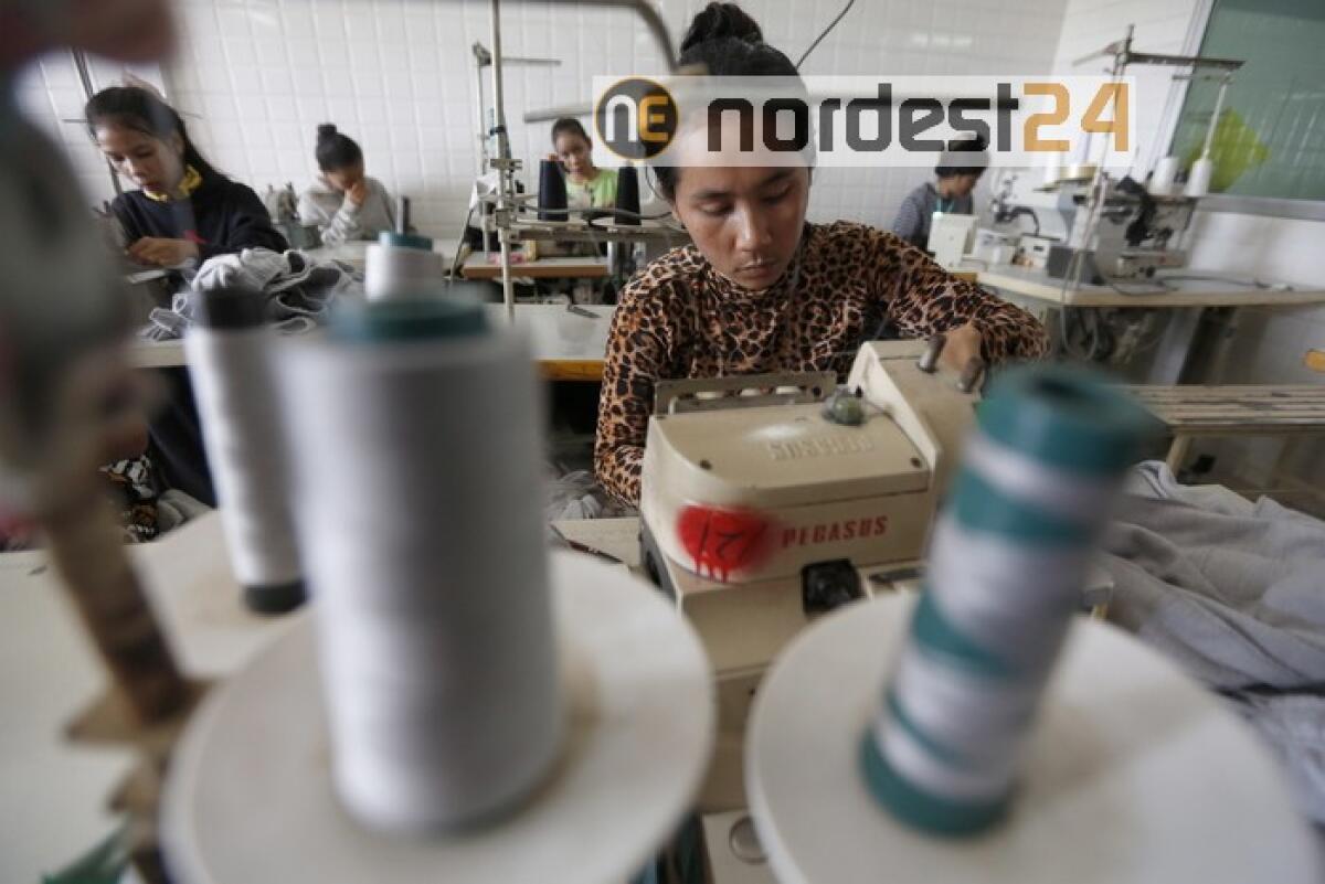 Lavoro: in 2019 occupati 2,5 mln stranieri, 10,7% del totale - 