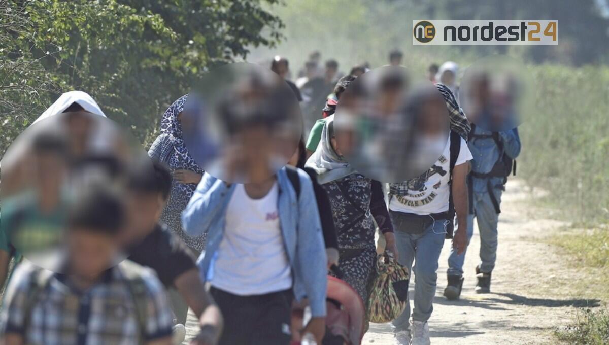 Udine. Oltre 50 migranti dalla rotta Balcanica scaricati in strada - 