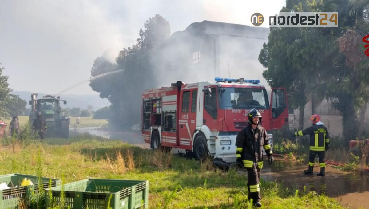 Incendio di oltre 250 rotoballe: bruciano 1000 quintali di foraggio - 