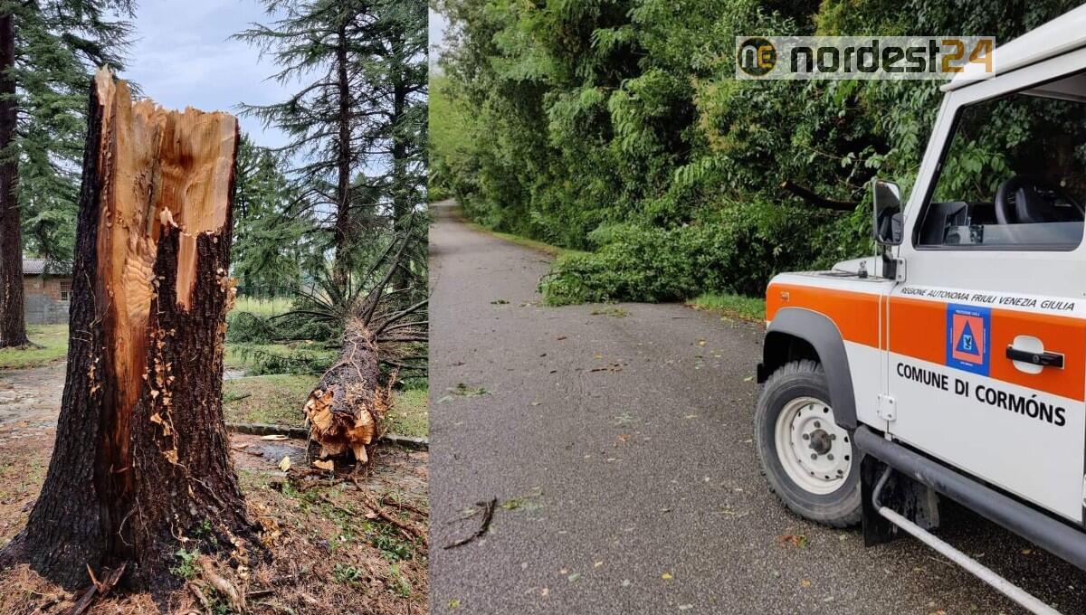 Maltempo. Maxi lavoro anche per la Protezione Civile di Cormons - 