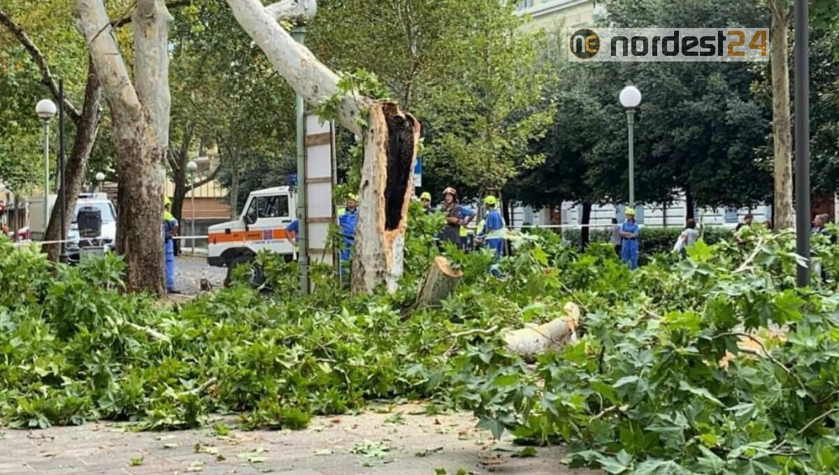 Maltempo Fvg: ultimi aggiornamenti, oltre 500 volontari al lavoro - 