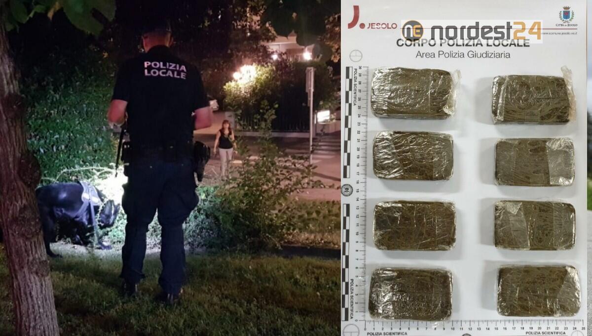 Droga in pieno centro a Jesolo: il cane fiuta 1 chilo di hashish - 