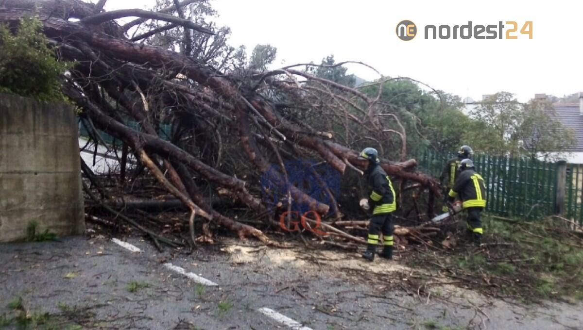 Maltempo, oltre 50 interventi dei pompieri a Sacile, Maniago e Pordenone - 