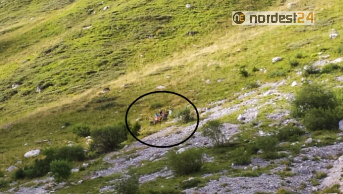Donna ferita nel Gruppo del Montasio: soccorritori in azione - 