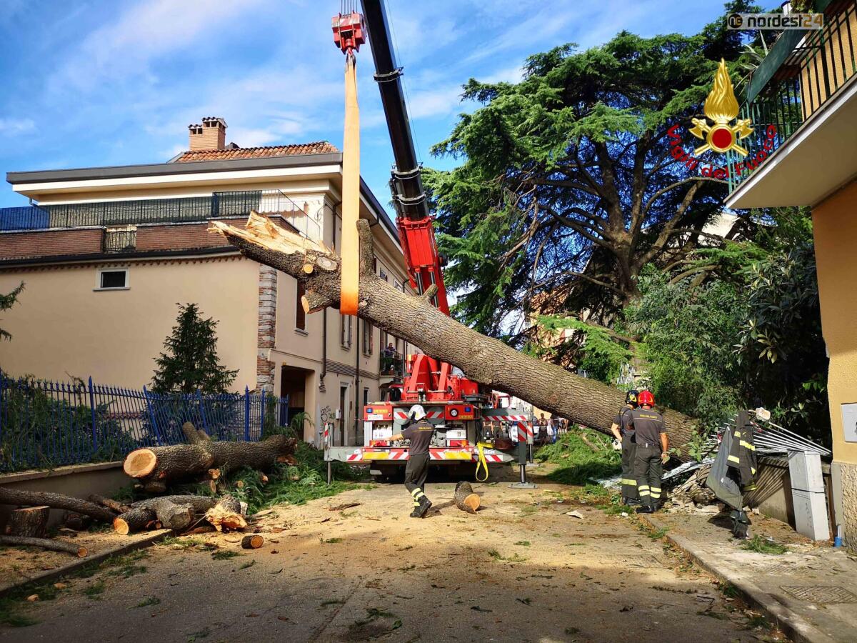Maltempo, formalizzato lo stato di crisi in Veneto: 45 comuni colpiti - 