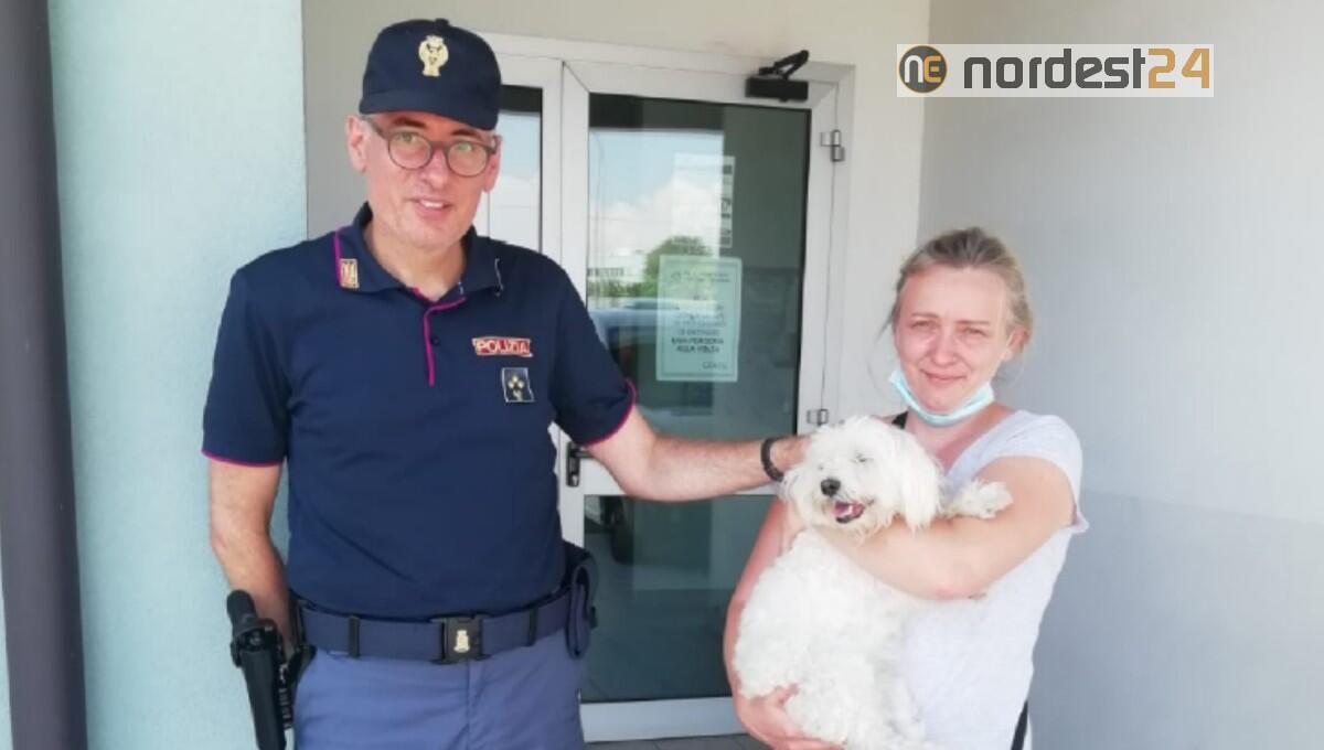 Rubano un cane, ma si affezionano e simulano il ritrovamento: denunciati - 