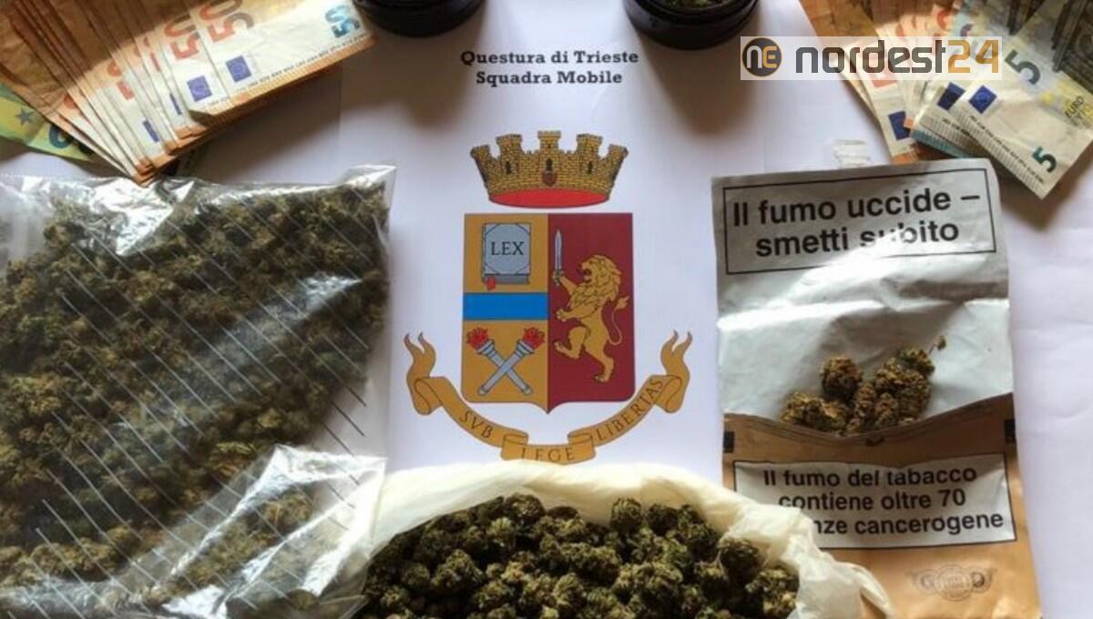 Di giorno addetto in un chiosco, di notte spacciatore: arrestato triestino 36enne - 