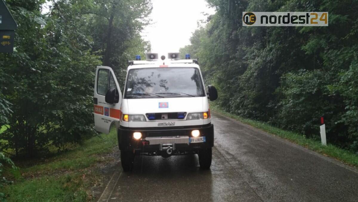 San Daniele. Temporale, rami a terra bloccano la strada provinciale - 