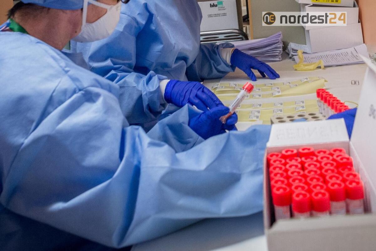 Ancora contagi in Fvg: sono 15 i nuovi casi positivi da ieri - 