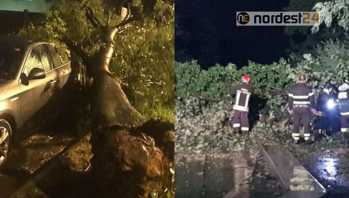 Maltempo nel pordenonese:  edifici scoperchiati, fulmini, alberi caduti e danni d'acqua - 