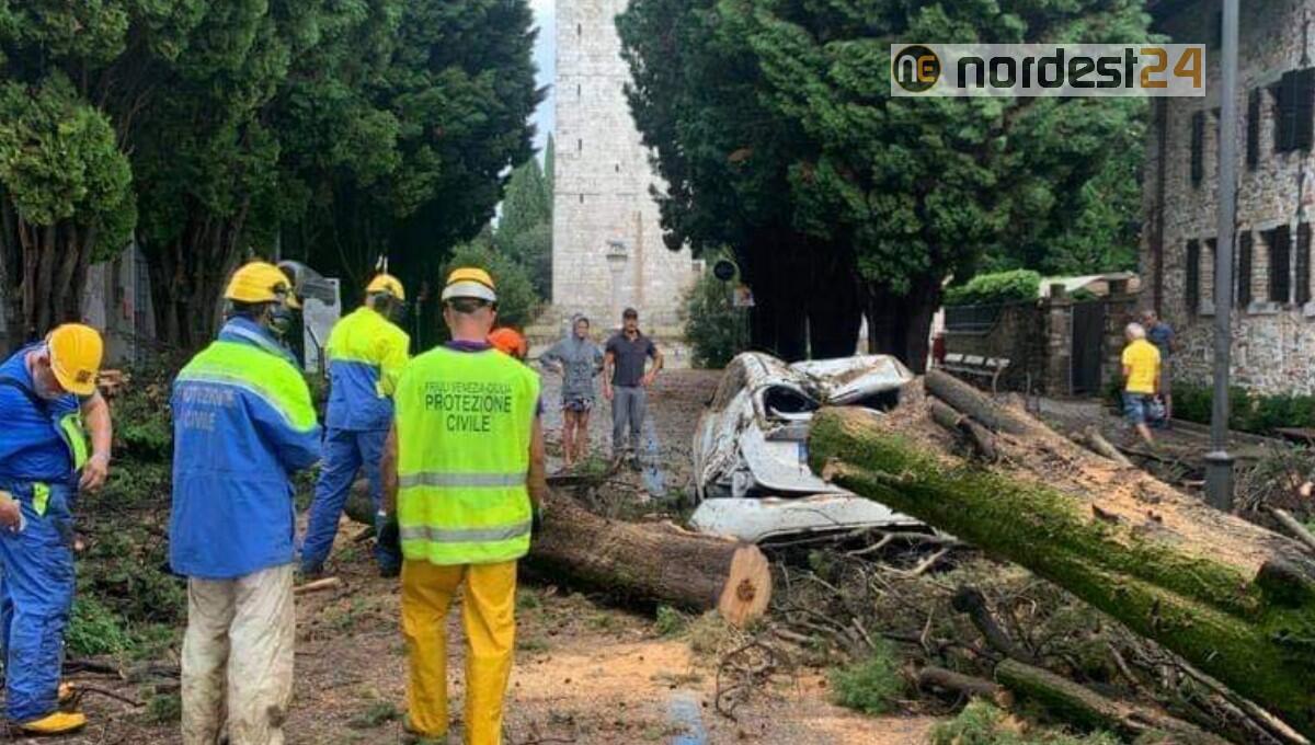 Maltempo ad Aquileia: strade chiuse, alberi a terra e danni - 