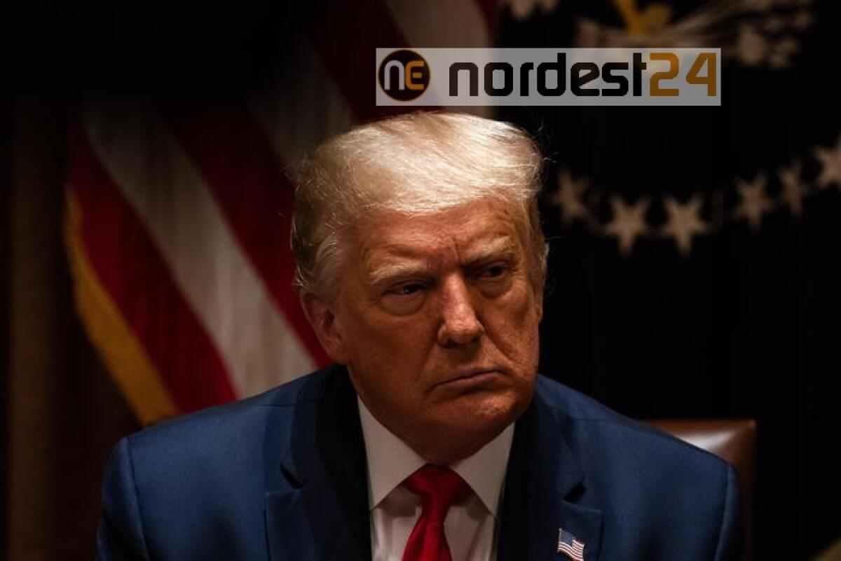 Trump, decreto per vietare TikTok - 