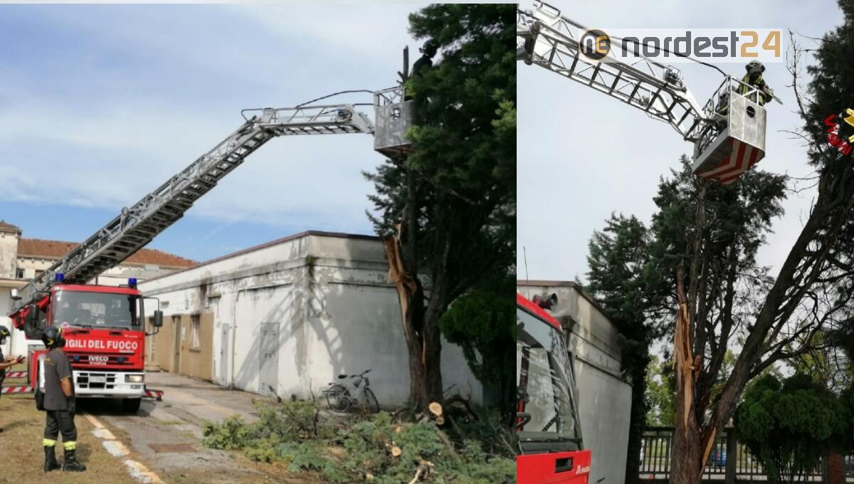 Veneto, forte maltempo nella notte: 180 interventi dei pompieri - 