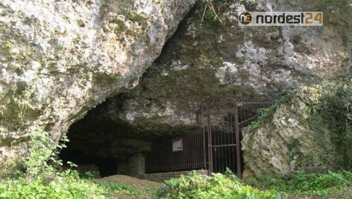 Al Museo Winckelmann il Catasto informatico delle grotte Fvg - 