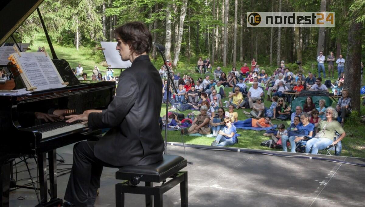 Festival Risonanze, i concerti nella foresta dove il legno si tramuta in musica - 