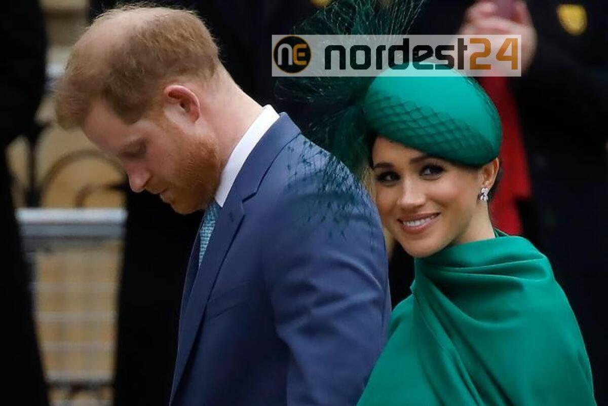 Il principe Harry contro i social, hanno creato crisi d'odio - 