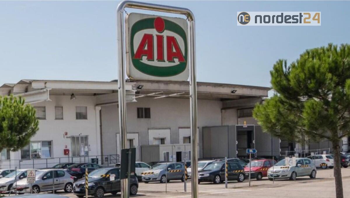 Treviso. Focolaio all'Aia: 185 positivi, ma l'azienda resta aperta - 