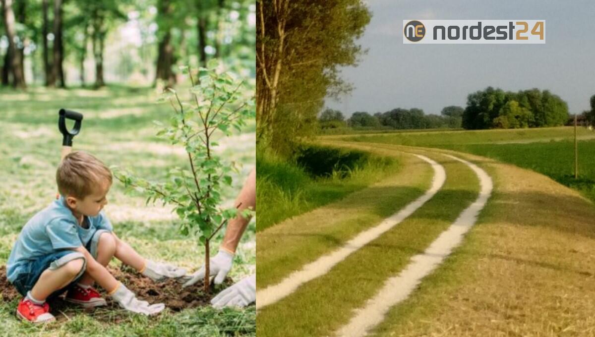 A San Michele alberi gratis dal comune da piantare in aree private - 