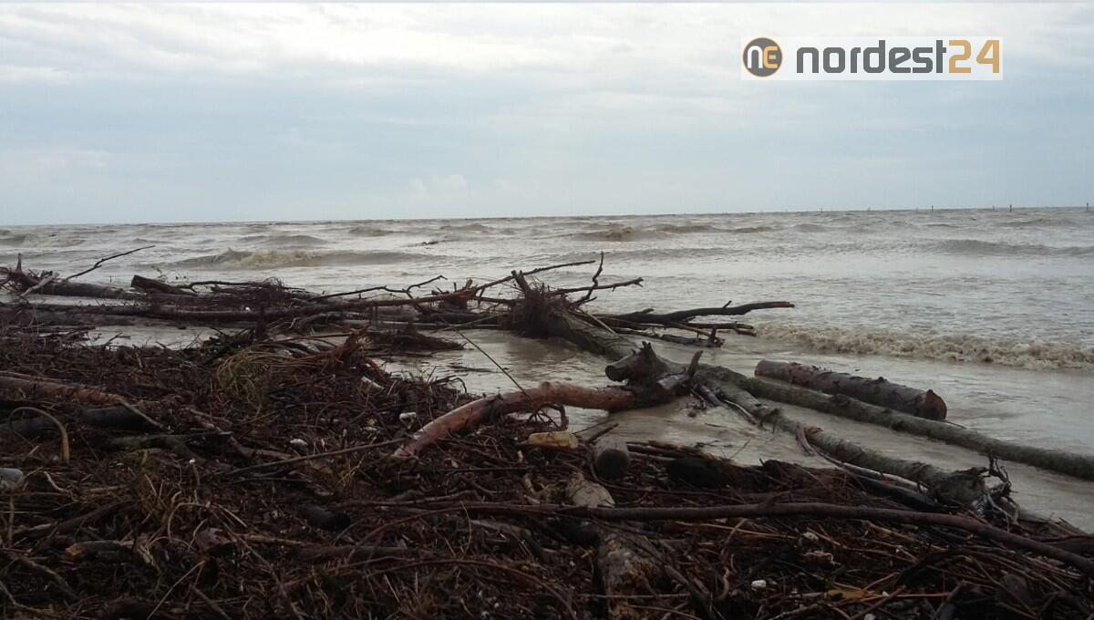 Friuli Venezia Giulia, maltempo: 43 comuni colpiti, ecco i dettagli - 