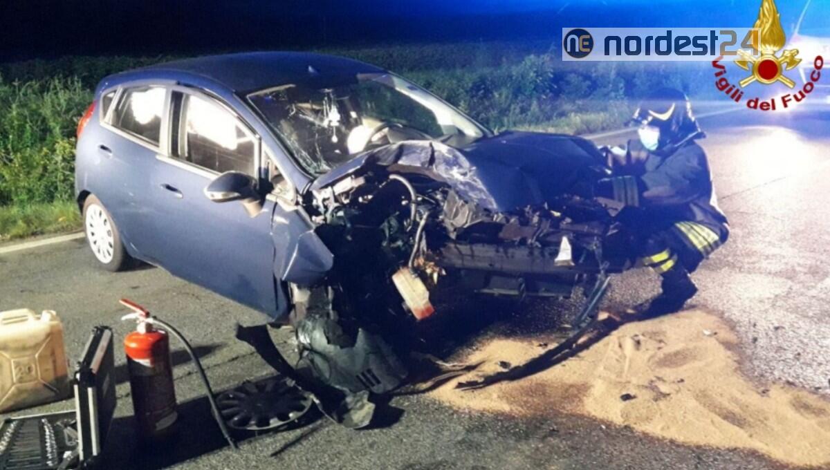 Udine. Incidente in località Paparotti, schianto contro un platano: donna ferita - 