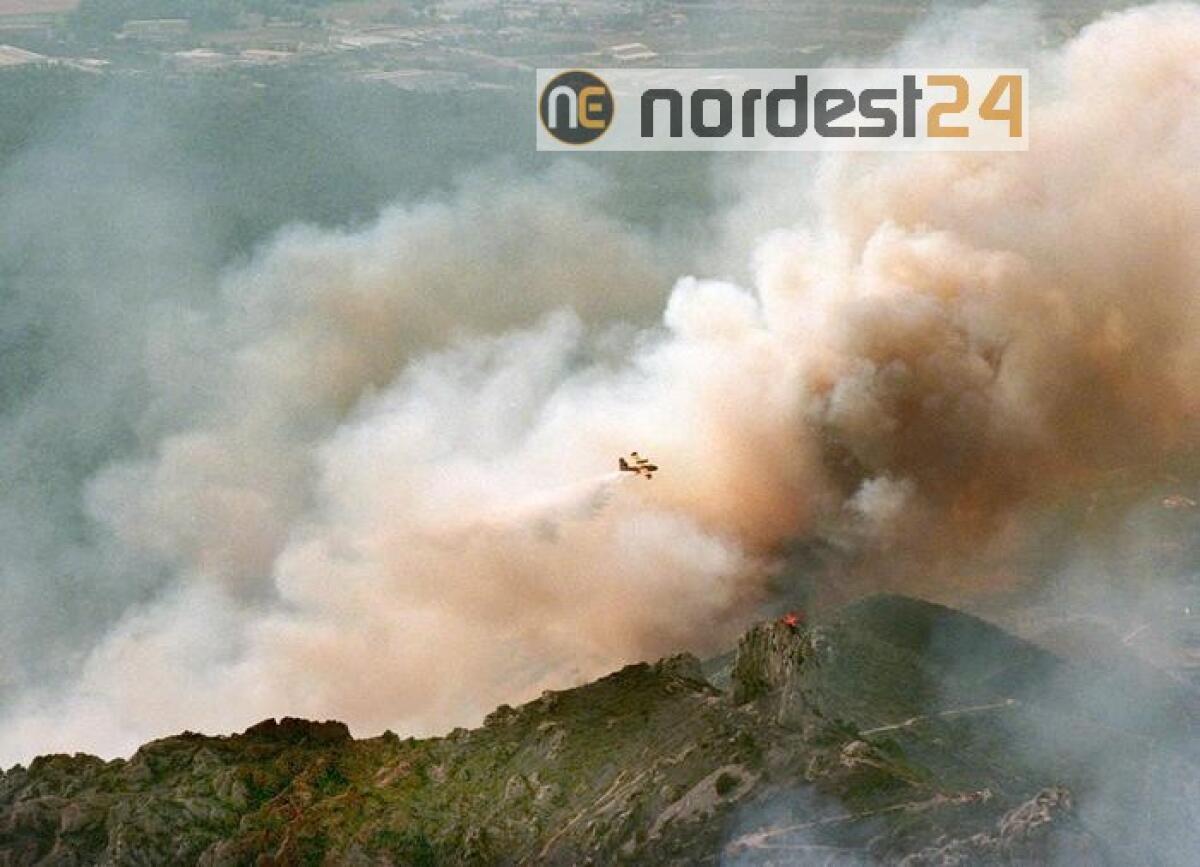 Francia: incendio vicino Marsiglia, evacuate 2.700 persone - 