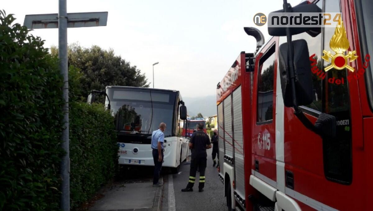 Malore alla guida per il conducente, bus finisce contro una siepe: 50enne rianimato - 