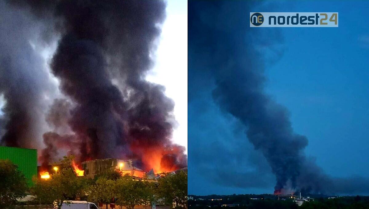 Violento incendio alla Snua di Aviano, fumo visibile a chilometri - 