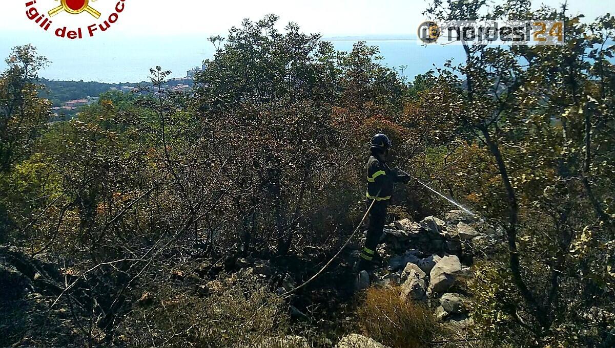 Duino Aurisina. Incendio di sterpaglie: interviene l'elicottero - 