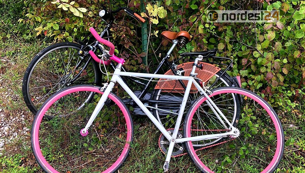 Pordenone. Rubano due bici e provano a piazzarle: beccati - 