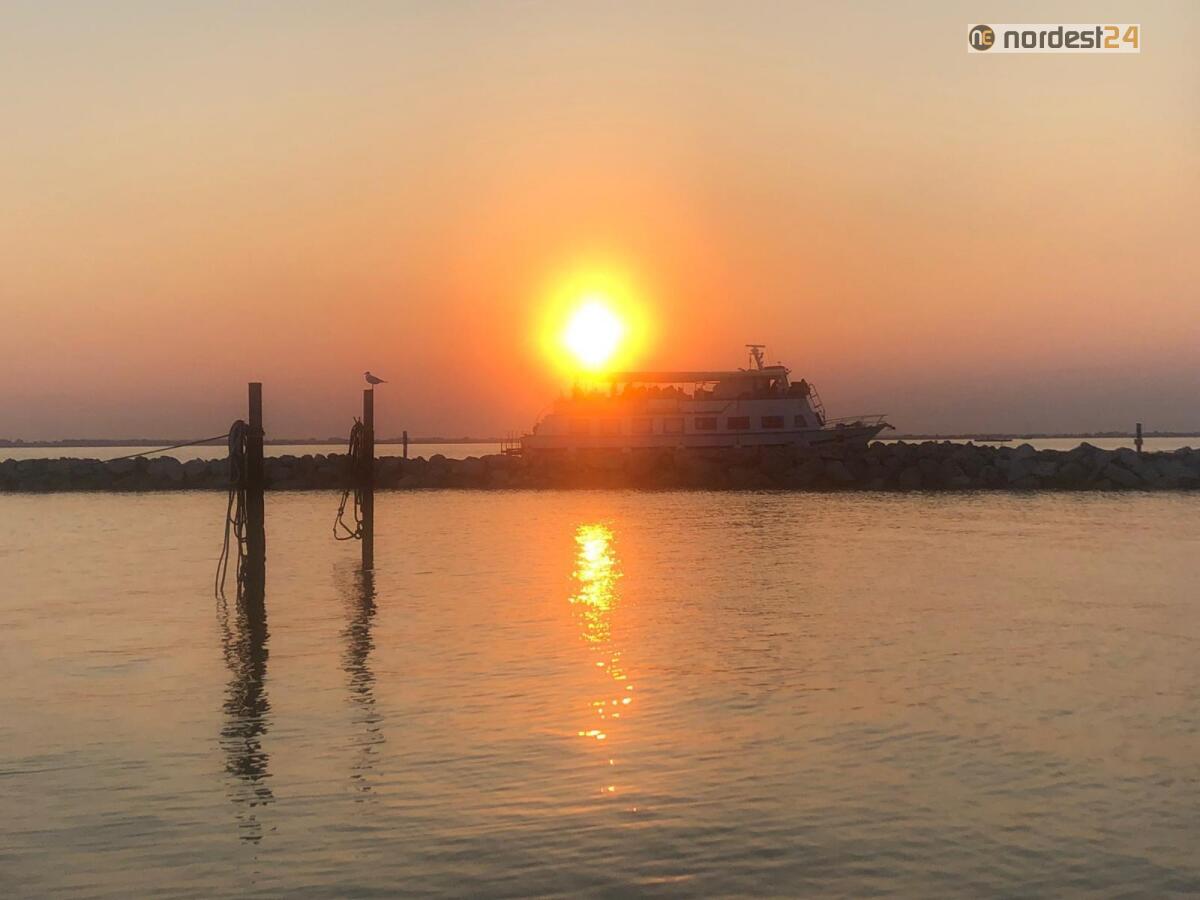 “Laguna d’autunno 2020”, in barca tra le Riserve Naturali di Marano Lagunare - 