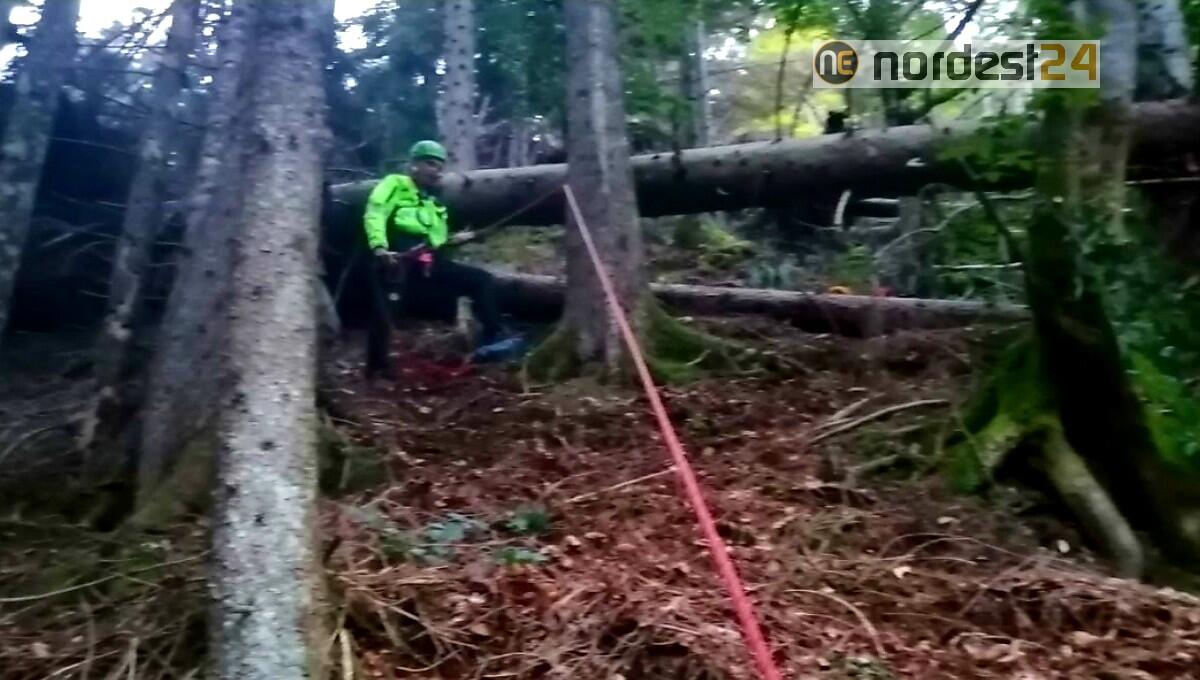 Recuperate 2 fungaiole a 1400 metri, bloccate in un ripido pendio - 