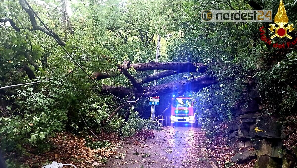 Maltempo in Friuli, grandine nel pordenonese vento forte a Trieste - 