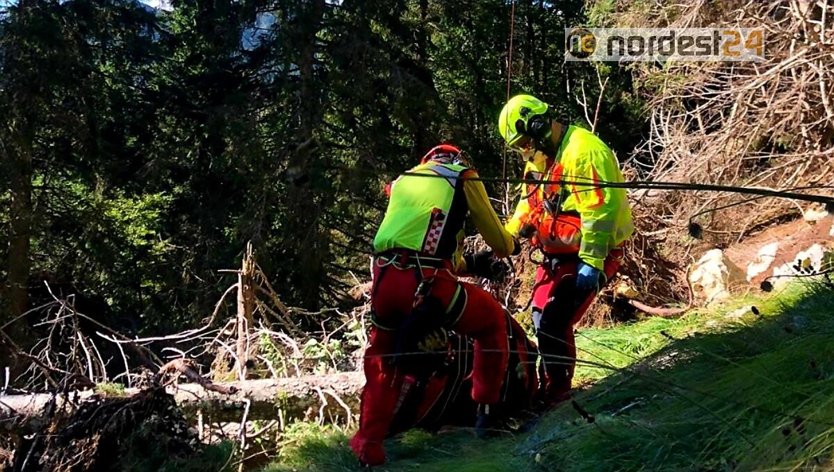 Fungaiolo scivola nei boschi per 10 metri: soccorso con elicottero - 