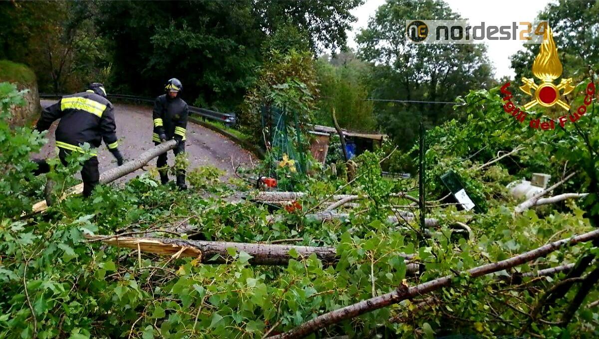 Maltempo, albero cade e investe il serbatoio Gpl di una casa - 