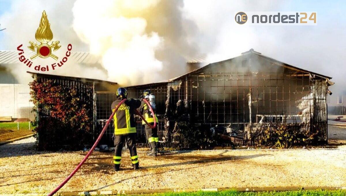 Incendio di una legnaia ad Azzano Decimo, località Fagnigola - 