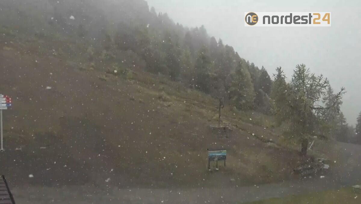 Fiocconi di neve cadono adesso in Valle d'Aosta - VIDEO - 