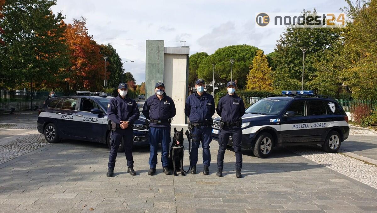 Jesolo. Al via la sperimentazione con Baskoo, l’unità cinofila antidroga - 