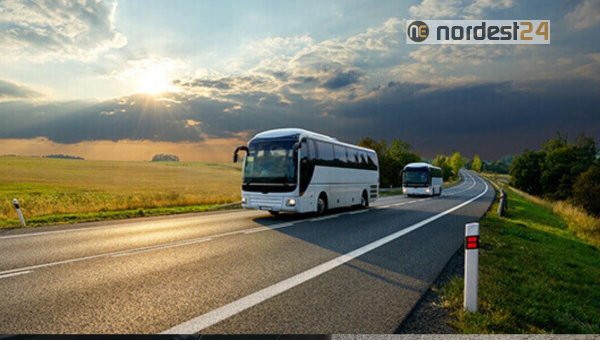 Fvg, trasporto persone: imprese in allarme, perdite fino al 90% - 