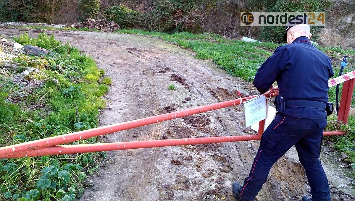 Tarcento. Lavoratori clandestini in nero nell'allevamento: denunciato - 