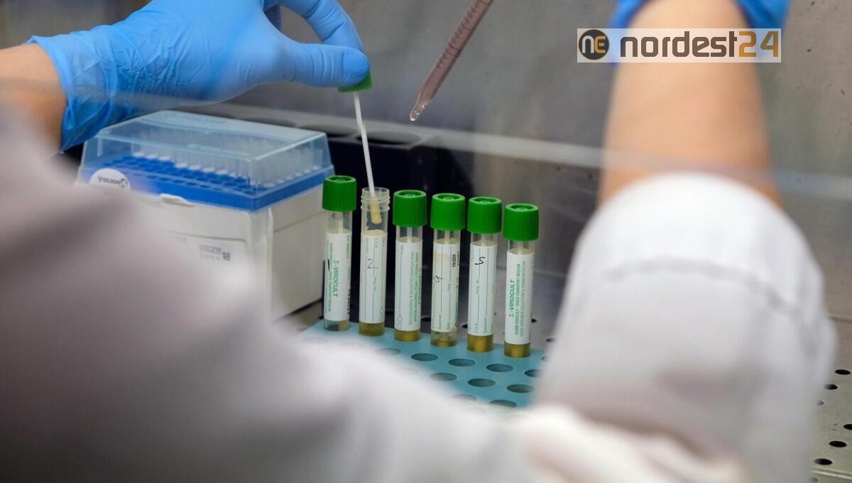 Covid, Fvg: stabili le terapie intensive, 4 ricoveri per monitoraggio - 