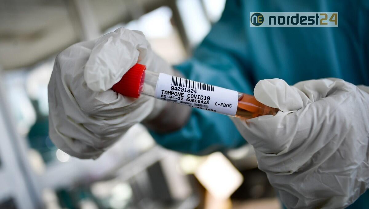Covid Fvg: un nuovo paziente in terapia intensiva, contagi stabili - 