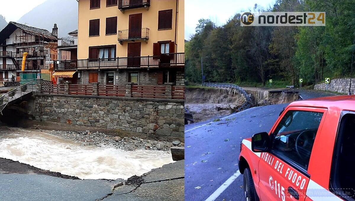 Maltempo, muore vigile del fuoco volontario travolto da un albero - 
