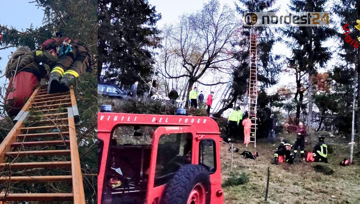 Scivola dall'albero e rimane appeso a testa in giù: salvato 65enne - 