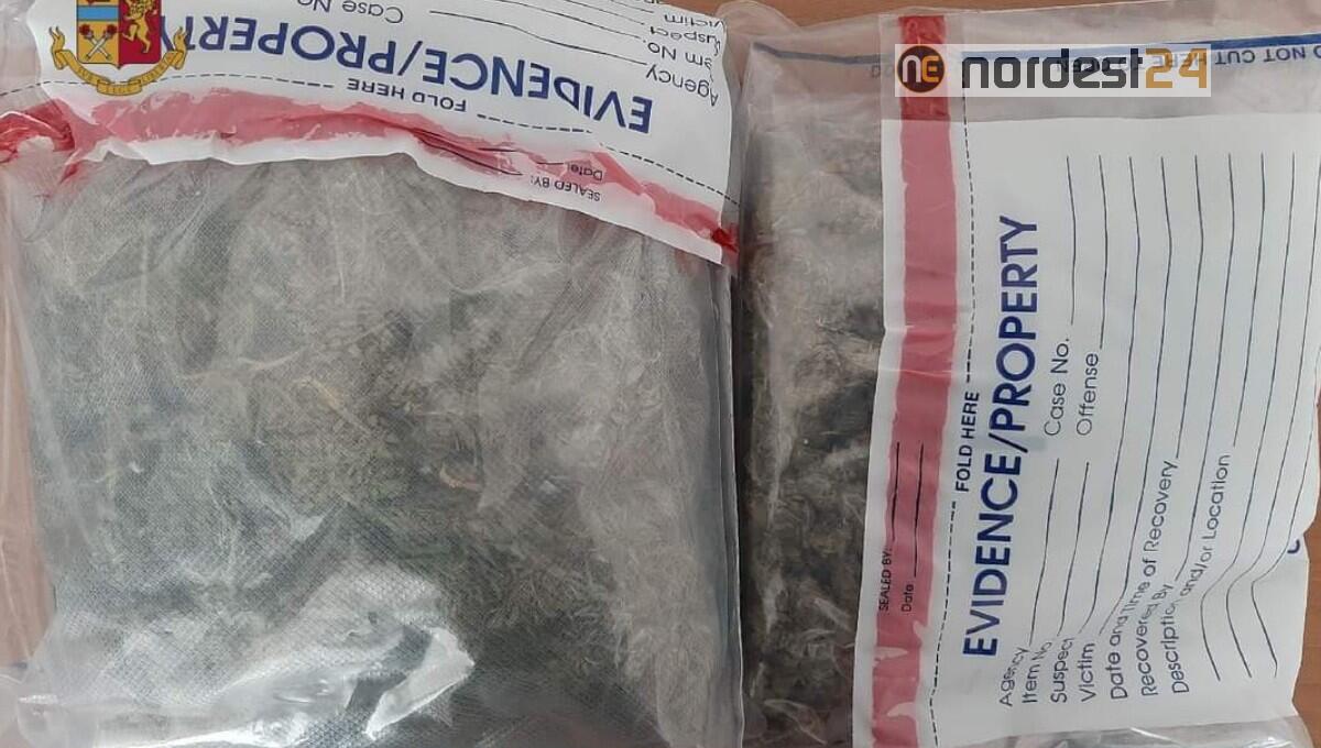 Monfalcone. Arrestati due 22enni per spaccio di sostanze stupefacenti - 