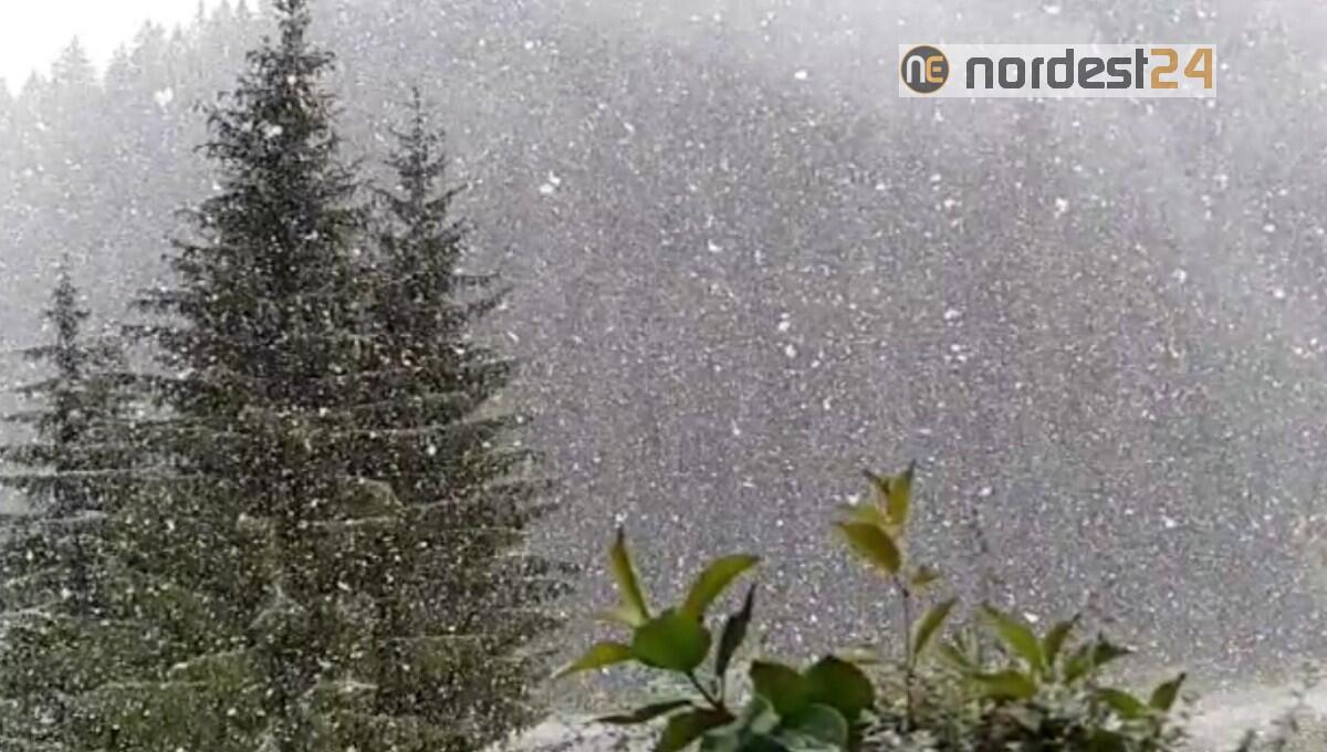 Prime intense nevicate in molte località. I video - 
