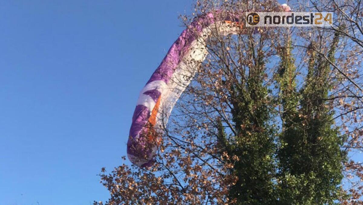 Precipita con il parapendio e rimane impigliata su un albero - 