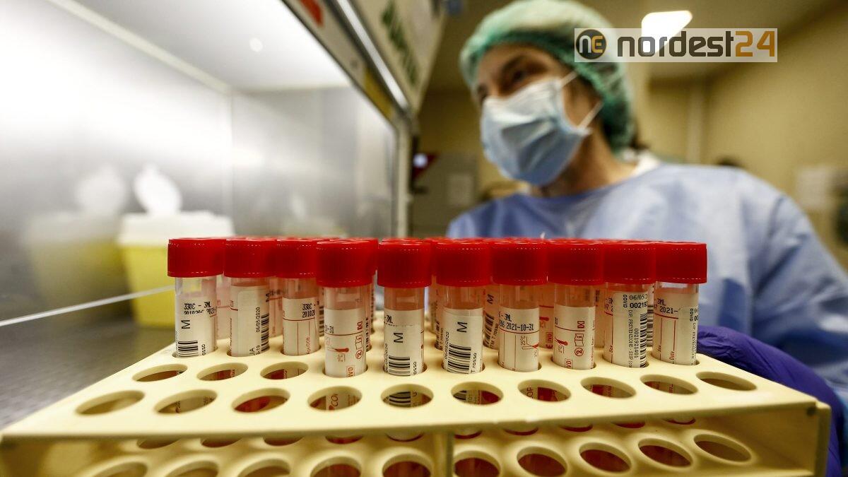 Coronavirus, in Fvg due decessi e 66 nuovi contagi - 