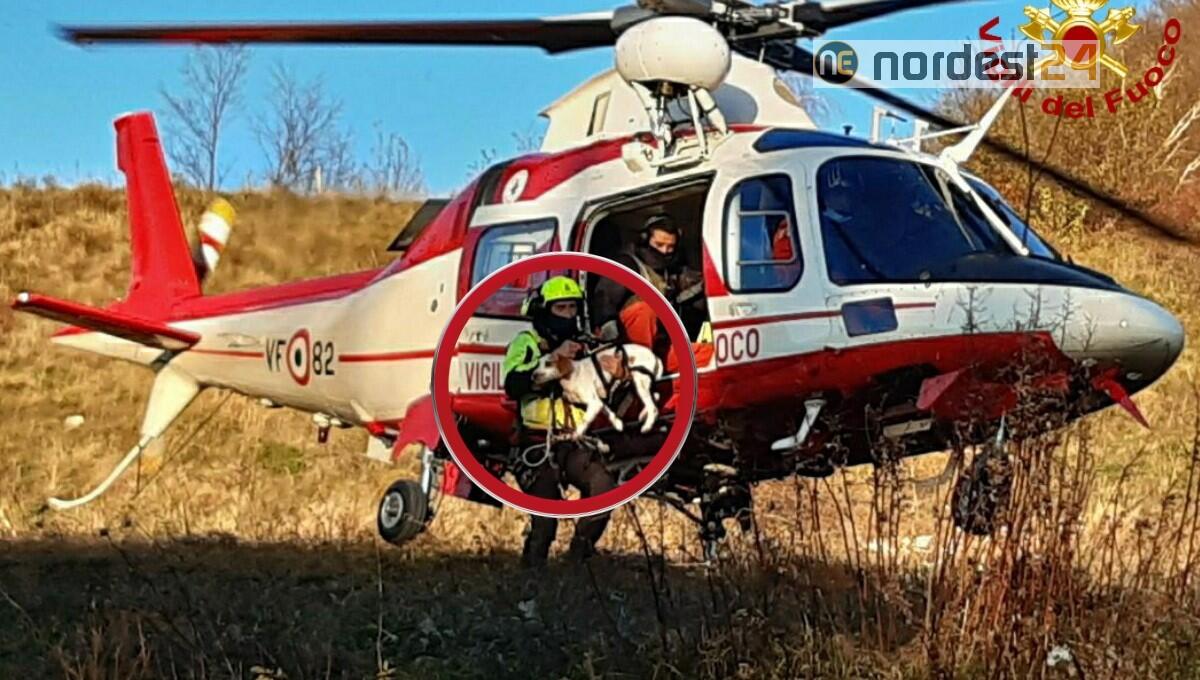 Cade nella scarpata mentre insegue una preda: cane soccorso sul Bernadia - 